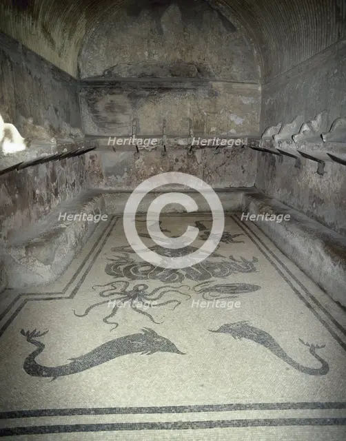 Mosaic with Triton, female tepidarium, thermal baths, Herculaneum, Italy, 2002. Creator: LTL.