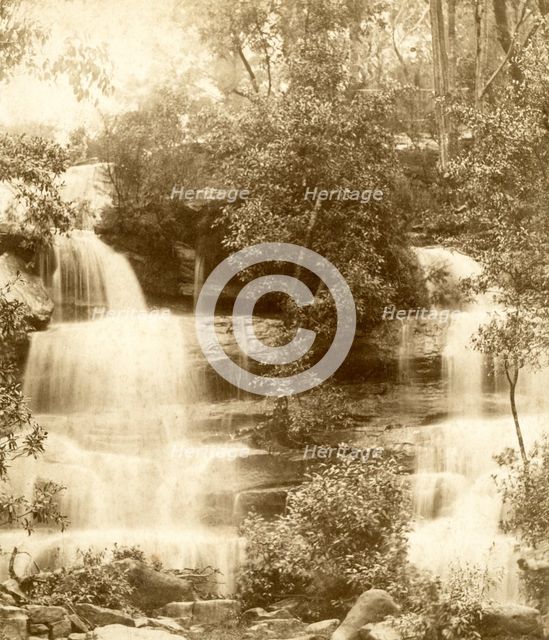 Mosman Bay: upper falls. Creator: Unknown.
