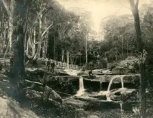 Mosman Bay: lower falls. Creator: Unknown