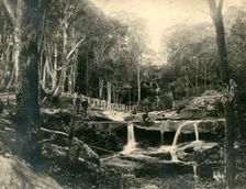 Mosman Bay: lower falls. Creator: Unknown