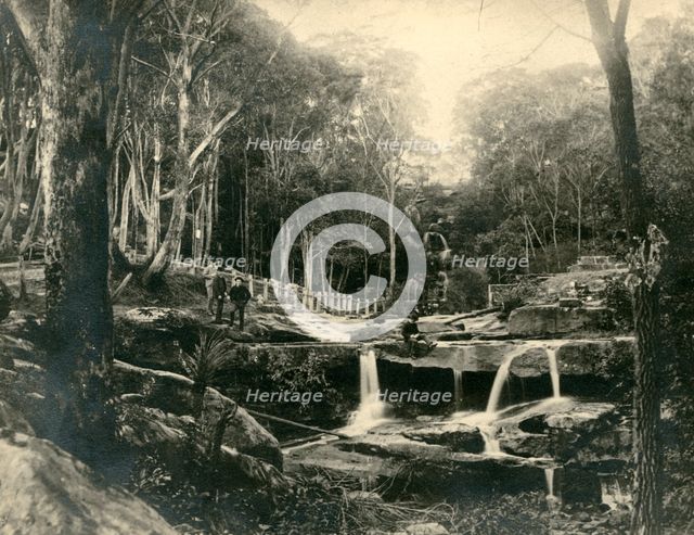 Mosman Bay: lower falls. Creator: Unknown.