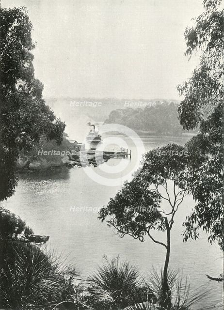 'Mosman's Bay, from Cremorne Jetty, c1900. Creator: Unknown.