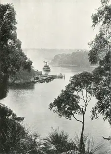 Mosman's Bay, from Cremorne Jetty, c1900. Creator: Unknown