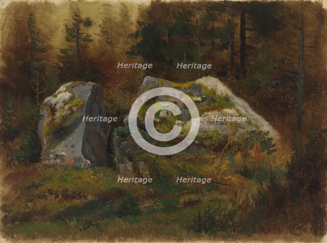 Mossy stones in the forest. Creator: Johan Knutson.