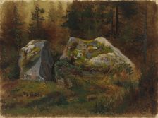 Mossy stones in the forest. Creator: Johan Knutson