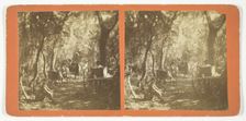Moss Avenue, Fort George, Florida, 1872. Creator: Unknown