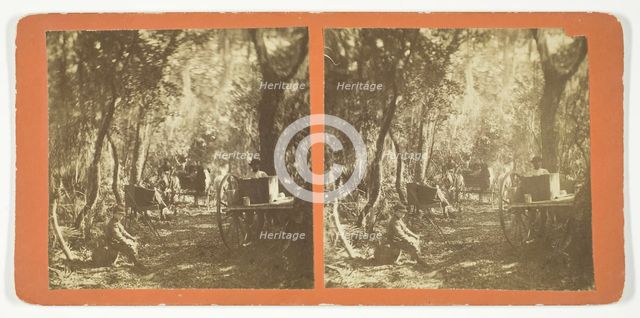 Moss Avenue, Fort George, Florida, 1872. Creator: Unknown.