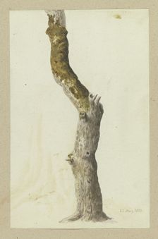 Moss-covered tree trunk, 1837. Creator: Carl Theodor Reiffenstein
