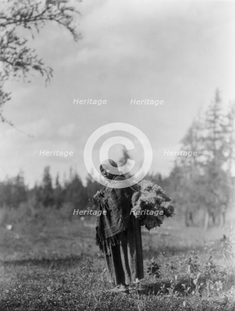 Moss for the baby-bags-Cree, c1927. Creator: Edward Sheriff Curtis.