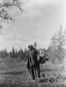 Moss for the baby-bags-Cree, c1927. Creator: Edward Sheriff Curtis