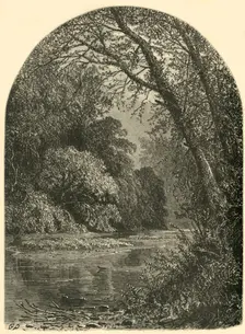 Moss Islands, in the Juniata 1874. Creator: W.H. Morse
