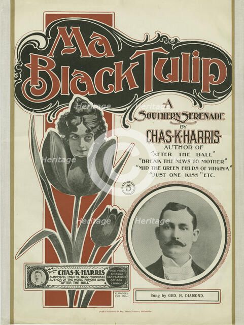 'Ma black tulip', 1900. Creator: Unknown.