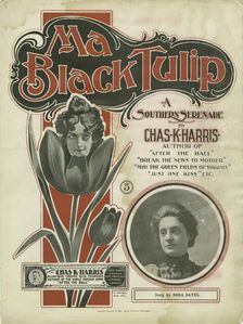 Ma black tulip 1900. Creator: Unknown