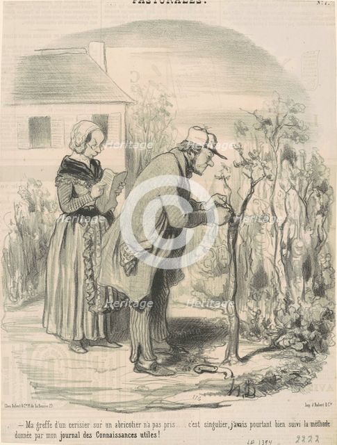 Ma greffe d'un cerisier sur un abricotier n'a pas pris ..., 19th century. Creator: Honore Daumier.
