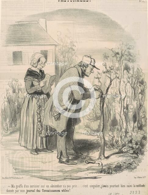 Ma greffe d'un cerisier sur un abricotier n'a pas pris ..., 19th century. Creator: Honore Daumier.