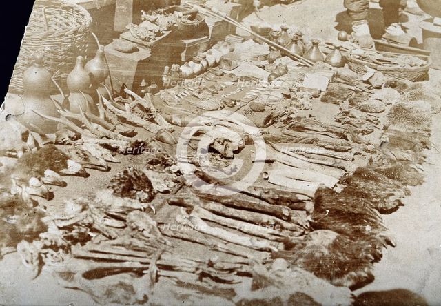 Materia medica from a Chinese apothecary's shop: heads and beaks of birds,..., c1905. Creator: Unknown.