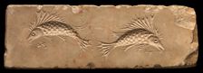 Matrices, German, 1220-72. Creator: Unknown