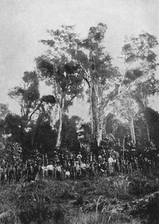 Matta Virgem 1895. Artist: Axel Frick