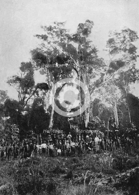 'Matta Virgem', 1895. Artist: Axel Frick.