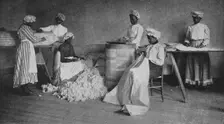 Mattress-making, 1904. Creator: Frances Benjamin Johnston