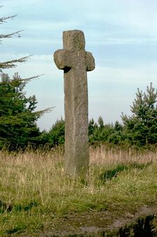 Mauley Cross