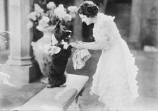 May MacAvoy, between c1915 and c1920. Creator: Bain News Service