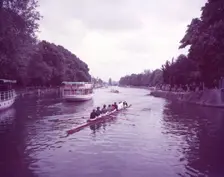 May "bumps" race on the Thames near Folly Bridge, Oxford, c1955. Creator: Arthur Charles Kirby Ware