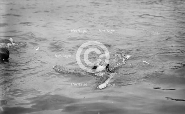 May E. Miller - Trungeon [i.e., Trudgeon] stroke, between c1910 and c1915. Creator: Bain News Service.