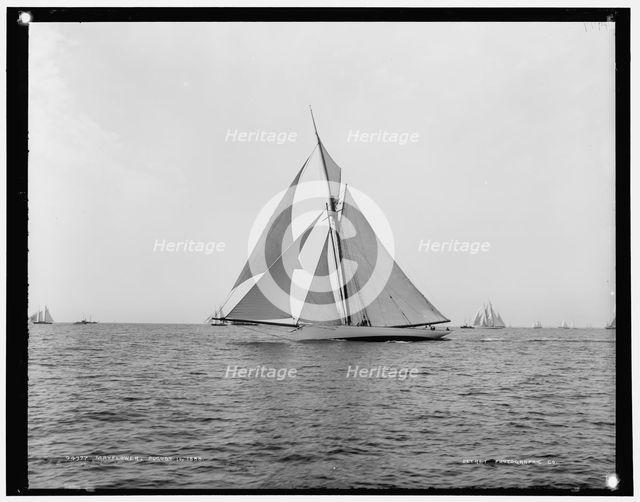 Mayflower, 1888 Aug 10. Creator: Unknown.