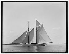 Mayflower, 1889 July 15. Creator: Unknown