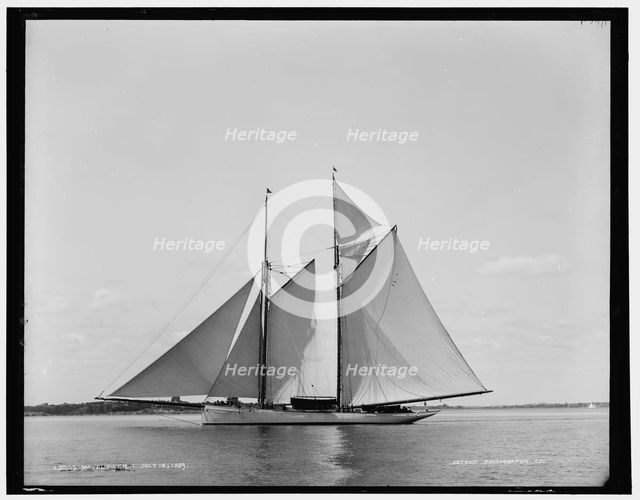 Mayflower, 1889 July 15. Creator: Unknown.
