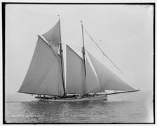 Mayflower, 1891 July 16. Creator: Unknown
