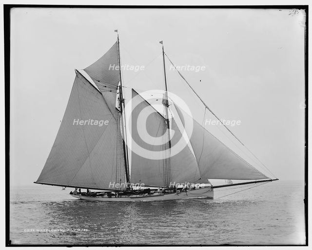 Mayflower, 1891 July 16. Creator: Unknown.