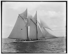 Mayflower, 1891 June 29. Creator: Unknown