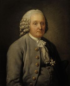 Mayor Jonas Robeck, 1777. Creator: Jonas Hoffman