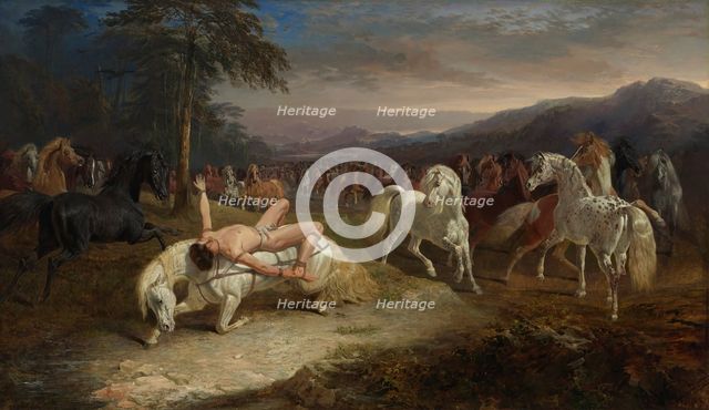 Mazeppa, 1842. Creator: Herring, John Frederick, Sr. (1795-1865).
