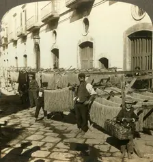 Macaroni drying in the dirty streets of Naples, Italy c1909. Creator: Unknown