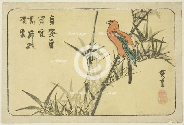 Macaw and bamboo, n.d. Creator: Ando Hiroshige.