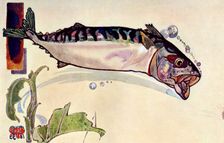 Mackerel 1900