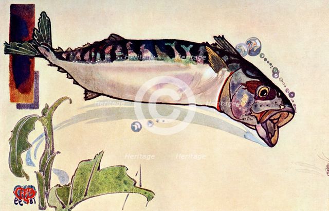 'Mackerel', 1900. Artist: Unknown