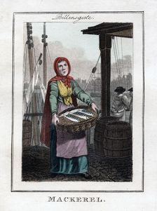 Mackerel Billingsgate, London, 1805