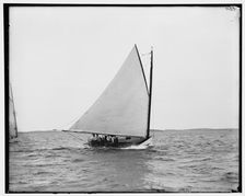 Madge, between 1880 and 1899. Creator: Unknown