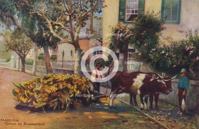 'Madeira - Carca De Bananeiras', c1940. Artist: Unknown.