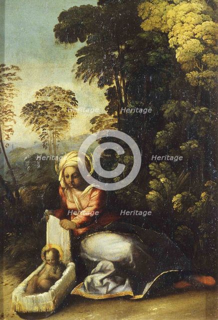 Madonna with Child (La Zingarella), c. 1513. Artist: Dossi, Dosso (ca. 1486-1542)