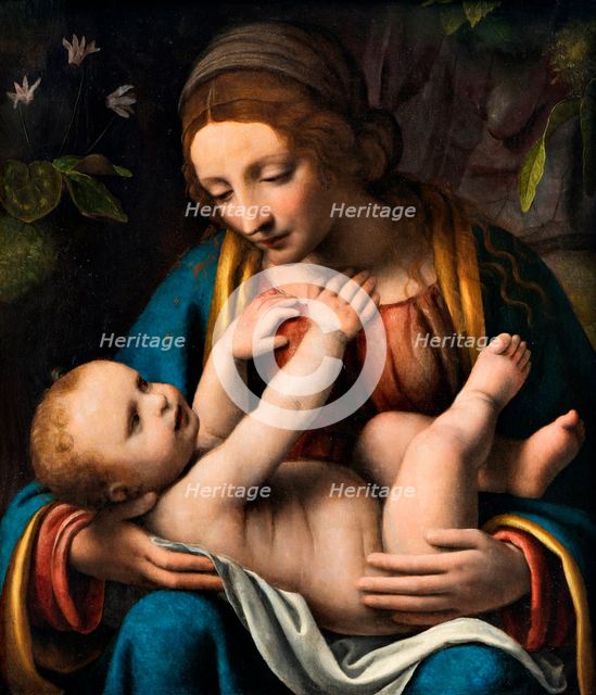 Madonna and Child, 1515-1523. Creator: Luini, Bernardino (ca. 1480-1532).