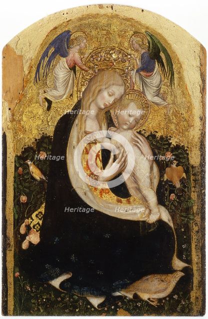 Madonna of the Quail (Madonna della Quaglia).