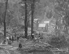 Maestri's 19th century