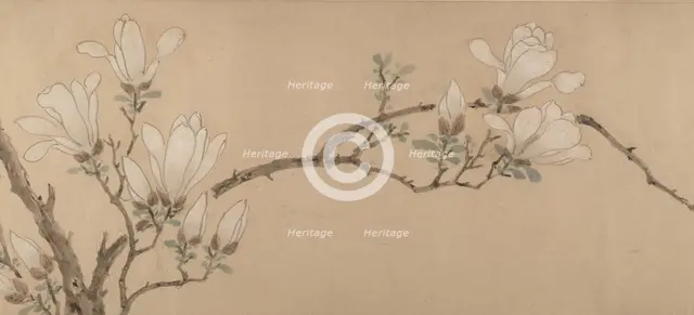 Magnolia, dated 1549. Creator: Unknown.