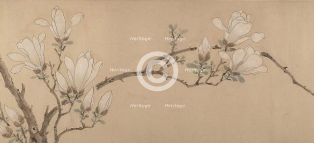 Magnolia, dated 1549. Creator: Unknown.