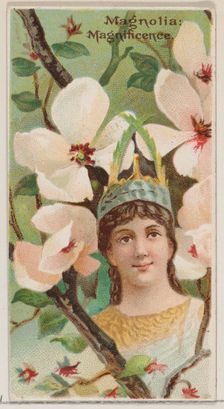 Magnolia: Magnificence, from the series Floral Beauties and Language of Flowers (N75) for ..., 1892. Creator: Donaldson Brothers